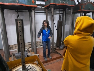 Visita guiada a olivar centenario y a la Almazara