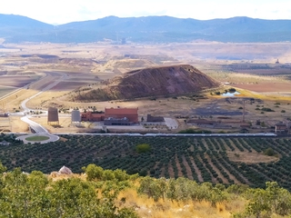 ¿Sabes lo que es un Icnofósil?