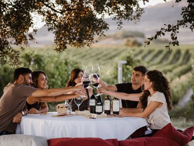 Picnic en Viñedo