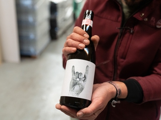 Cata de 5 vinos D.O. Toro en bodega a orillas del Río Duero