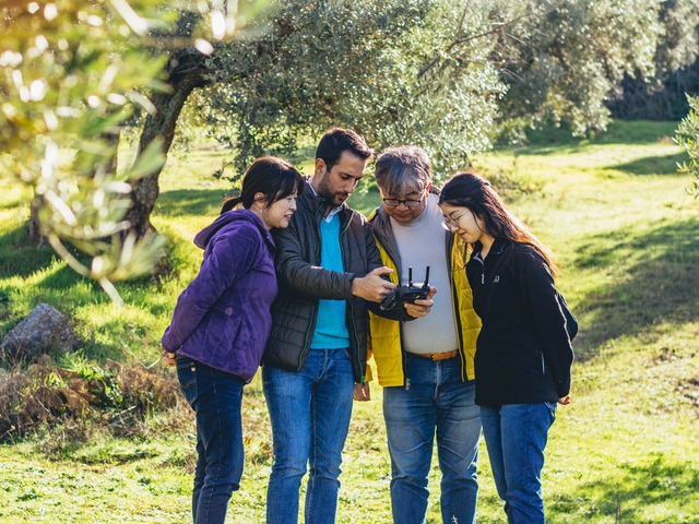 Experiencia Premium La Biodiversa: Visita al Olivar Centenario y Cata VIP de AOVE
