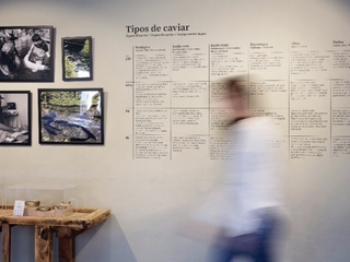 Visita guiada y cata Premium