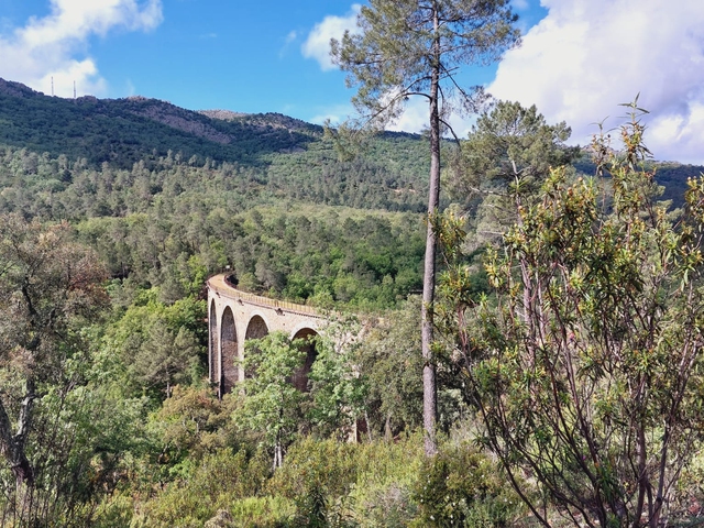 Experiencia Berrea Total: Un viaje al corazón del Parque Natural del Valle de Alcudia y Sierra Madrona