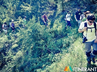 La Selva Mediterránea de Espadán