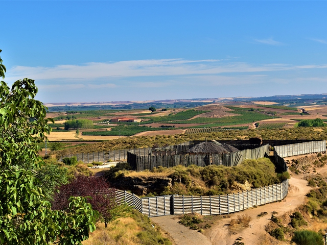 Visita Parque Arqueológico - Territorio Vacceo