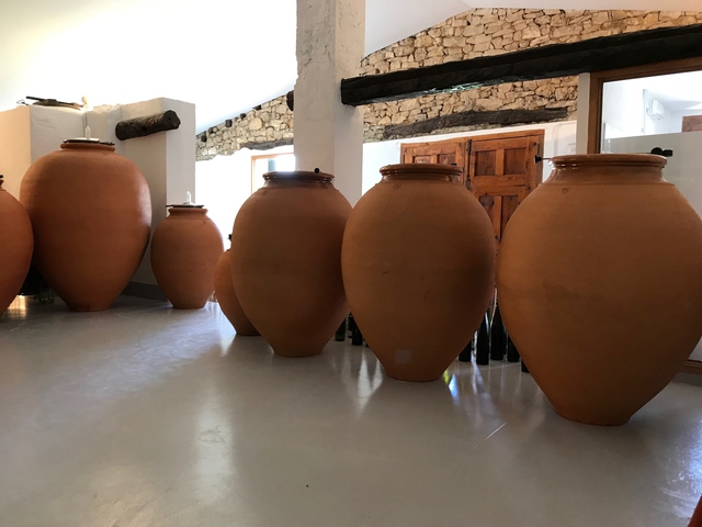 Visita Bodega y Cata en Baldovar 923
