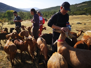 Ruta Gastronómica, Bustarviejo
