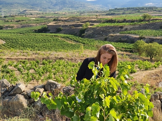 Descubre el Proyecto Tobelos + Cata de Vinos