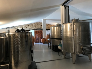 Visita Bodega y Cata en Baldovar 923