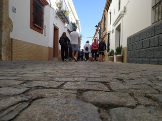 Ruta Romanos, vida y restos en Gerena.