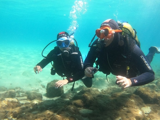 Inmersiones desde Costa o Barco