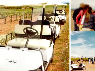 Paseo en Buggy + Cata en Viñedo