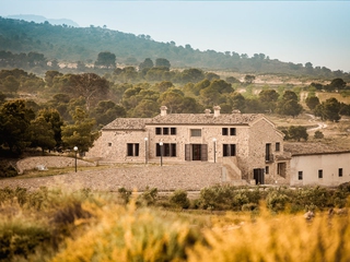 Picnic entre viñedos - Finca Collado