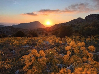 Visita guiada Torcal de Antequera