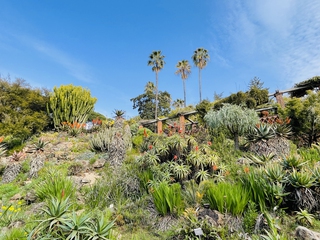 Jardí Botànic Marimurtra