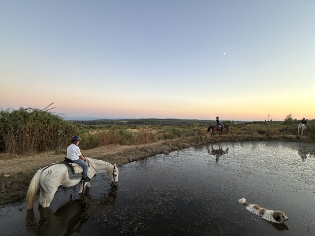 Ruta de los Berrocales a caballo