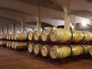 Visita Guiada a la Bodega + Degustación de vinos