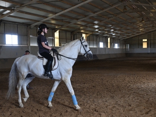 Clases de equitación con jinete profesional