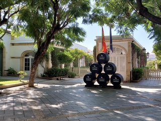 Visita a nuestra Bodega de Mora, con varias opciones de degustación.