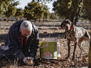 Trufiturismo - Conoce el Turismo de la Trufa