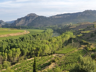 Descubre el Proyecto Tobelos + Cata de Vinos