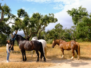 Mindfulness con caballos