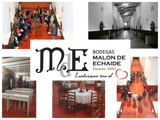 Visita Guiada a la Bodega + Degustación de vinos