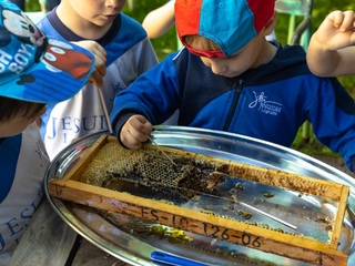 Visita al Santuario de las Abejas
