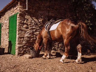 Ruta de la Sierra a Caballo