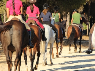 Ruta a Caballo - Playa o Pinares