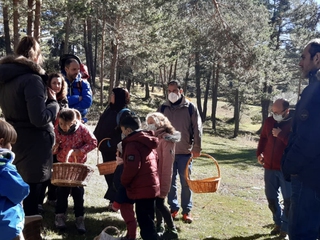 Rutas de Micología en la Comarca de Pinares
