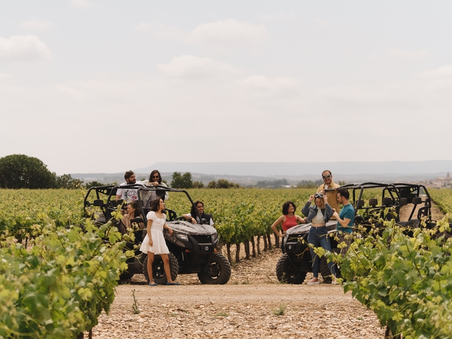Visita los viñedos de Malón de Echaide en todoterreno/buggy + Visita a bodega + degustación de 3 vinos