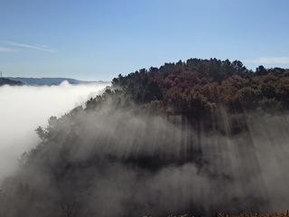 Entre viñedos