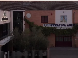 Visita guiada a La Purísima Bodegas + cata de 2 vinos + aperitivo