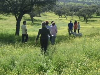 El Origen de Jamón Ibérico