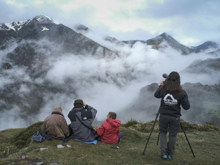 Avistamiento de osos