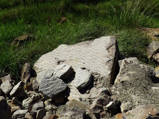 Vive la Experiencia del Carbonífero de Puertollano