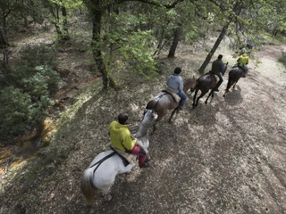 Paseo a Caballo por el Parque Natural Sierras de Cazorla, Segura y Las Villas