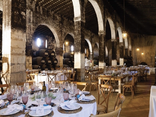 Visita a nuestra Bodega de Mora, con varias opciones de degustación.