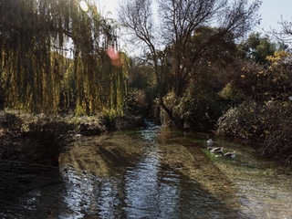 Visita guiada y cata de caviares