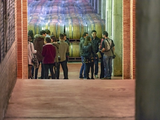 Visita Guiada a la Bodega + Degustación de vinos