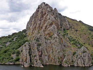Ruta Ornitológic y Observación de Fauna en el Parque Nacional de Monfragüe