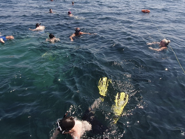 Salidas de Snorkel con equipo