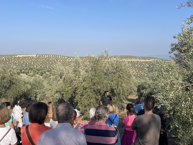 Experiencia Premium La Biodiversa: Visita al Olivar Centenario y Cata VIP de AOVE