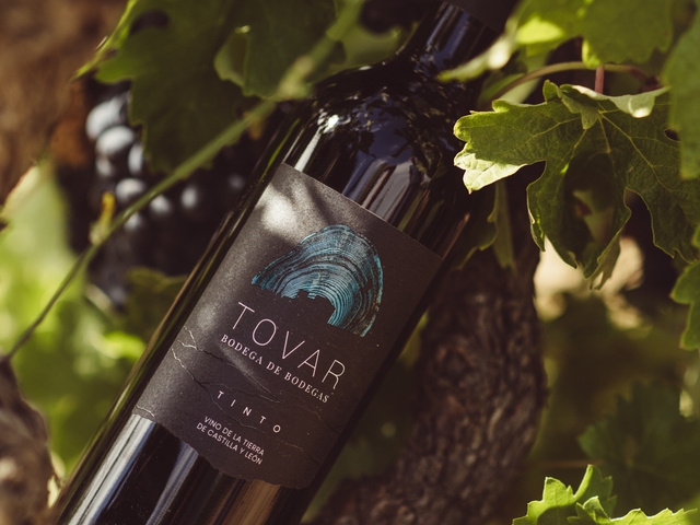 Tovar Bodega de Bodegas