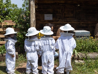 Visita al Santuario de las Abejas