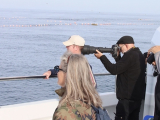 Ruta de avistamiento de Cetáceos al natural en Trafalgar