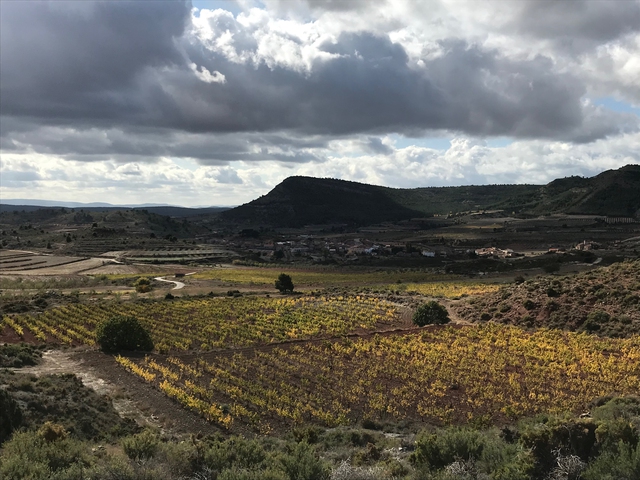 Visita Bodega y Cata en Baldovar 923