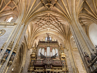 Visita Guiada Plasencia + Interior de la Catedral