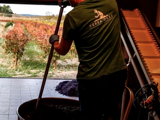 Visita a bodega, con cata y aperitivo